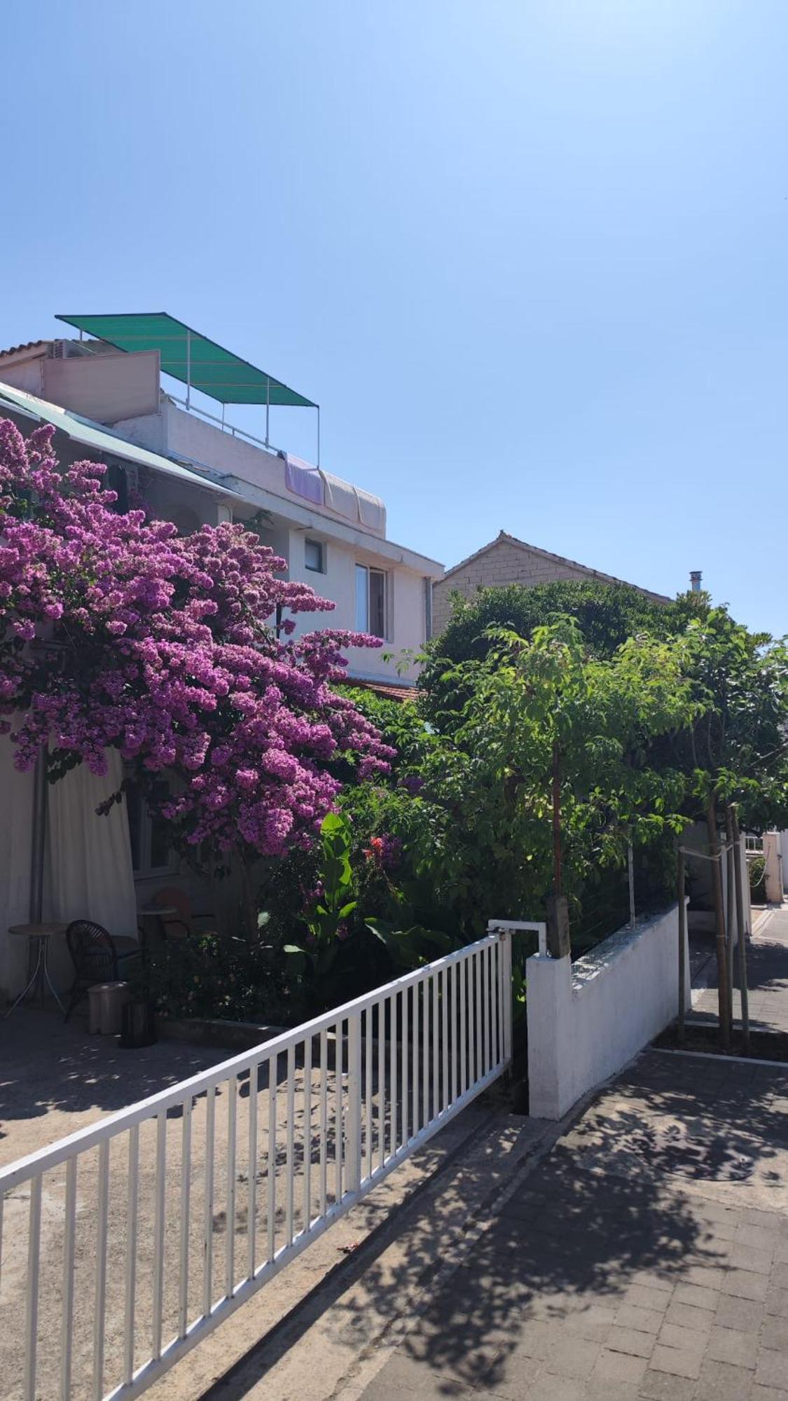 Apartments Suri Vodice Eksteriør billede
